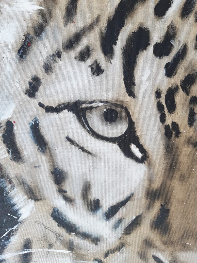 Detail Auge Leopard
