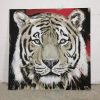 Tiger Gemälde von Stefanie Rogge, direkt im Atelier zu kaufen, Rot und Schwarz