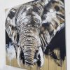 Elefant Leinwandbild von Stefanie Rogge