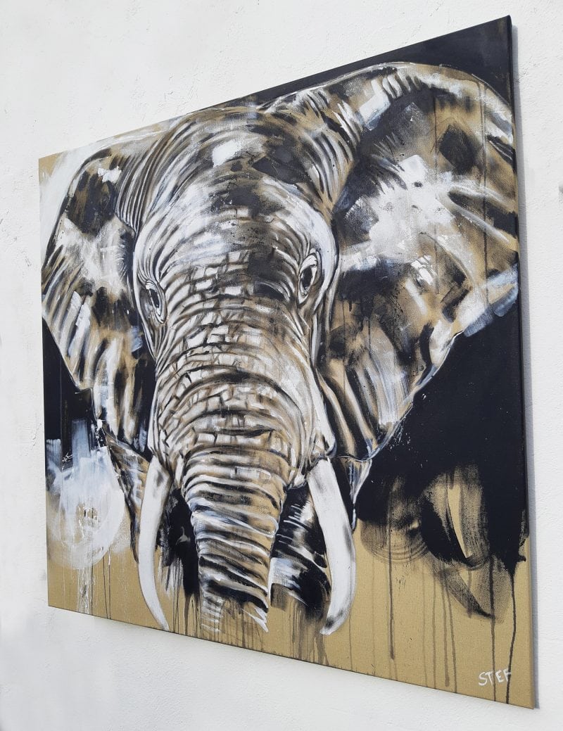 Elefant Leinwandbild von Stefanie Rogge